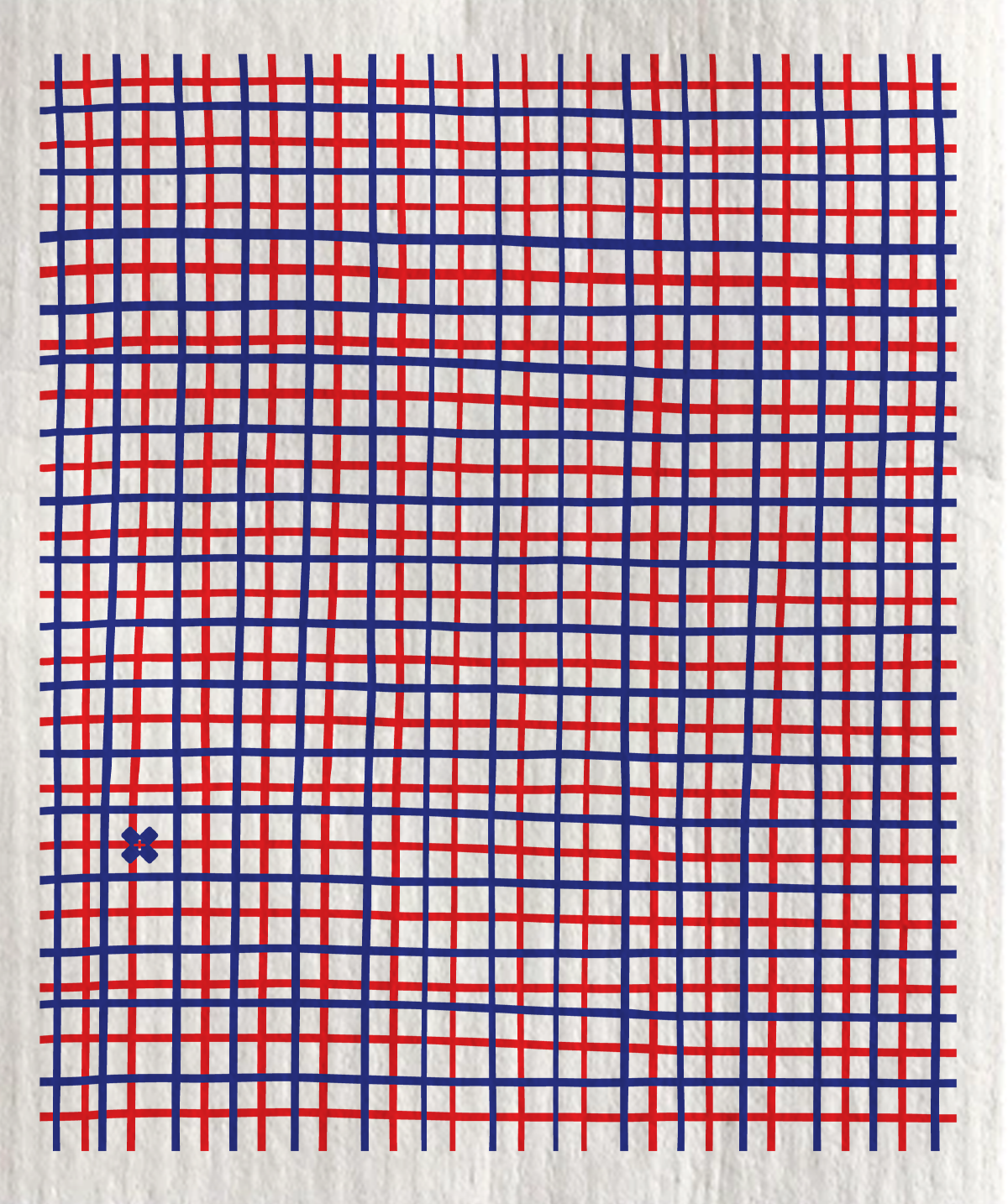 Nautical Grid Sponge Cloth