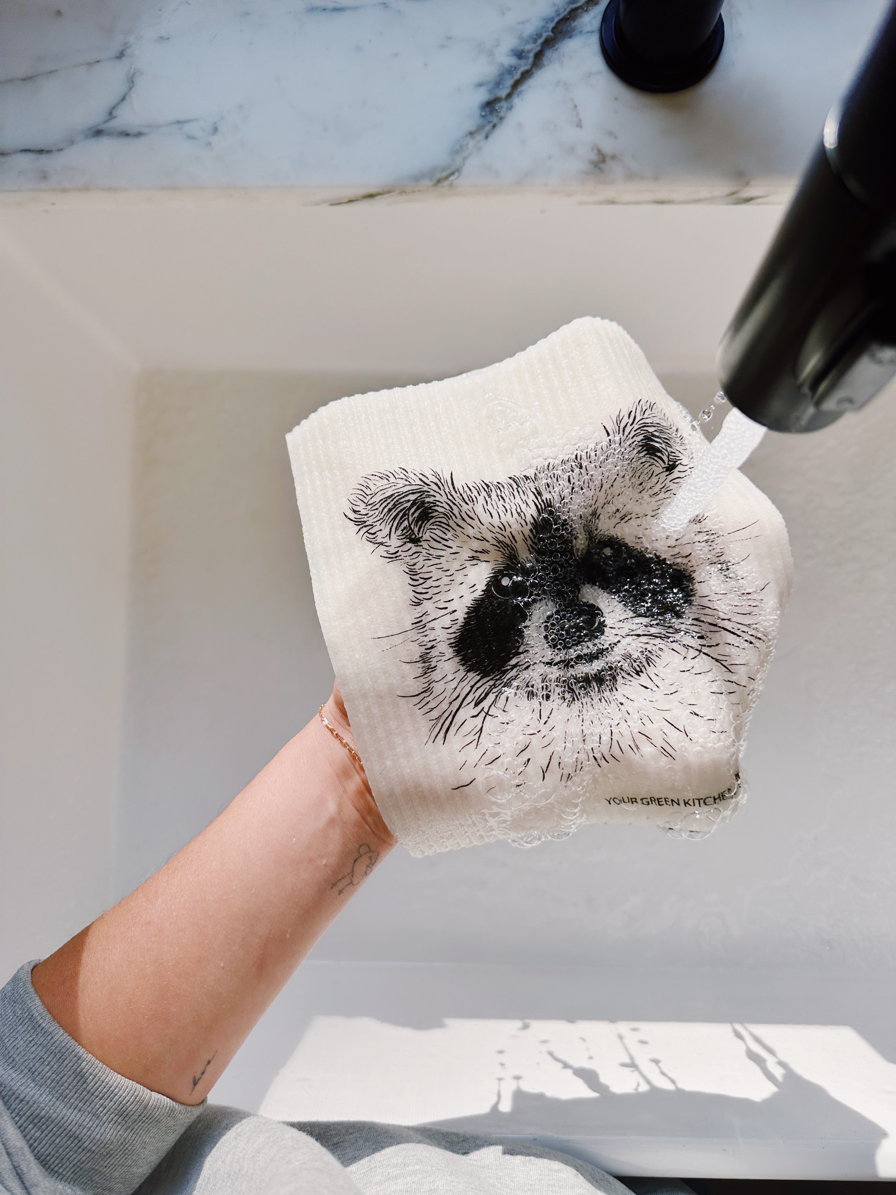 Raccoon Sponge Cloth