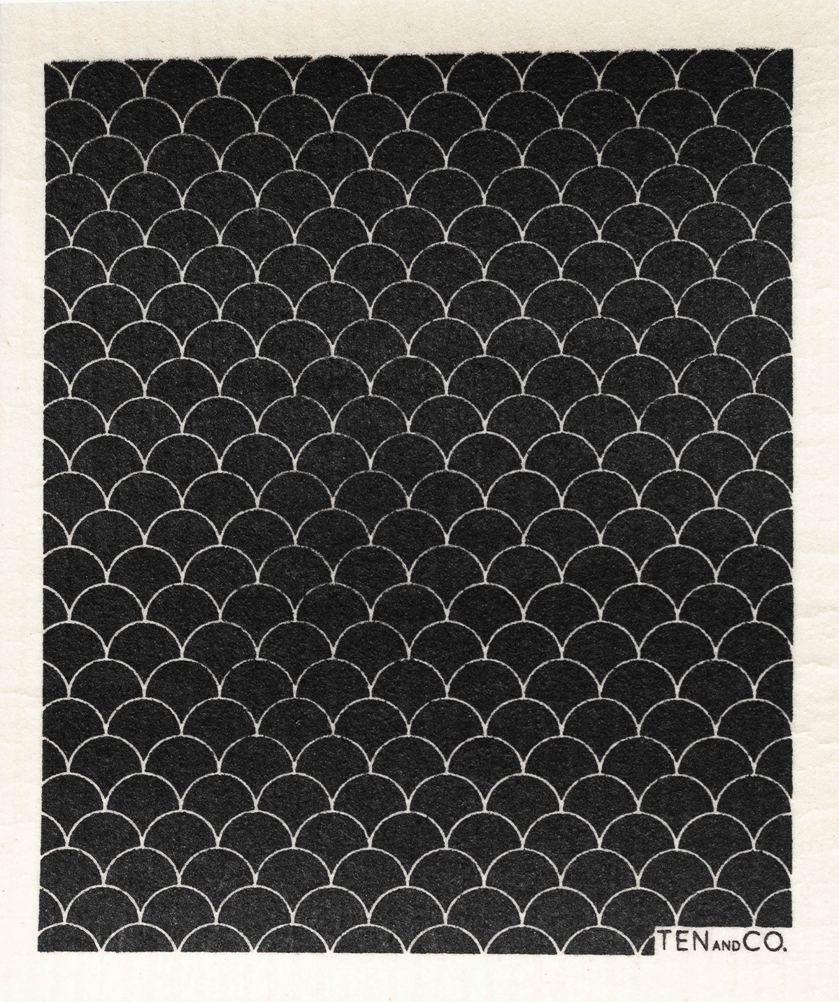 Scallop Sponge Cloth