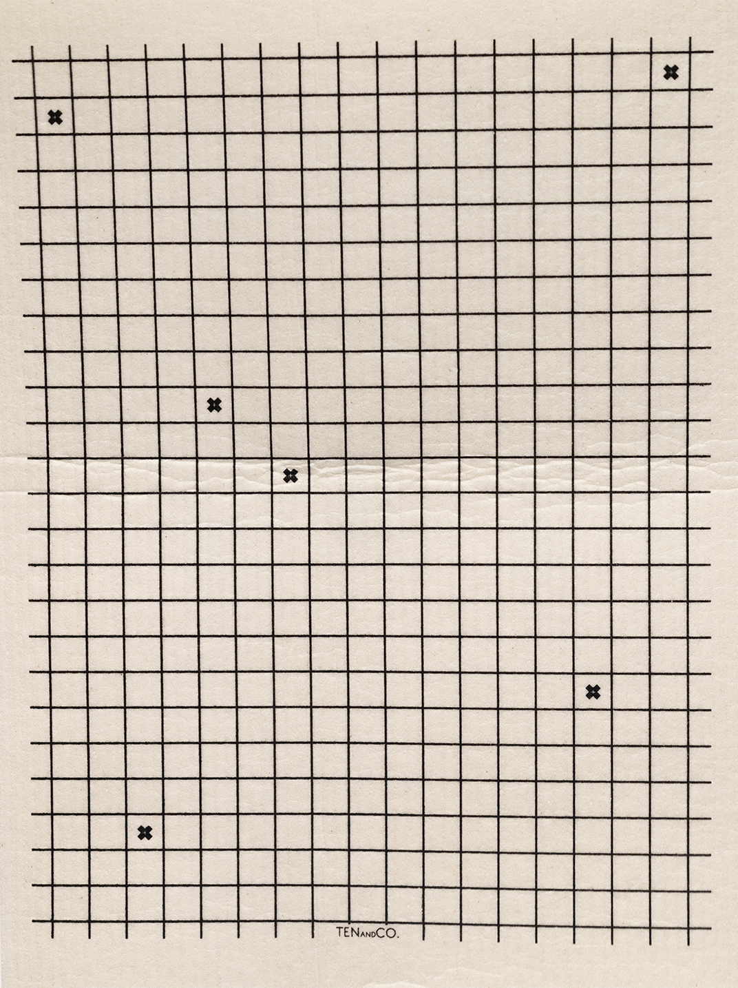 Ten and Co. Extra Large Graph Sponge Cloth