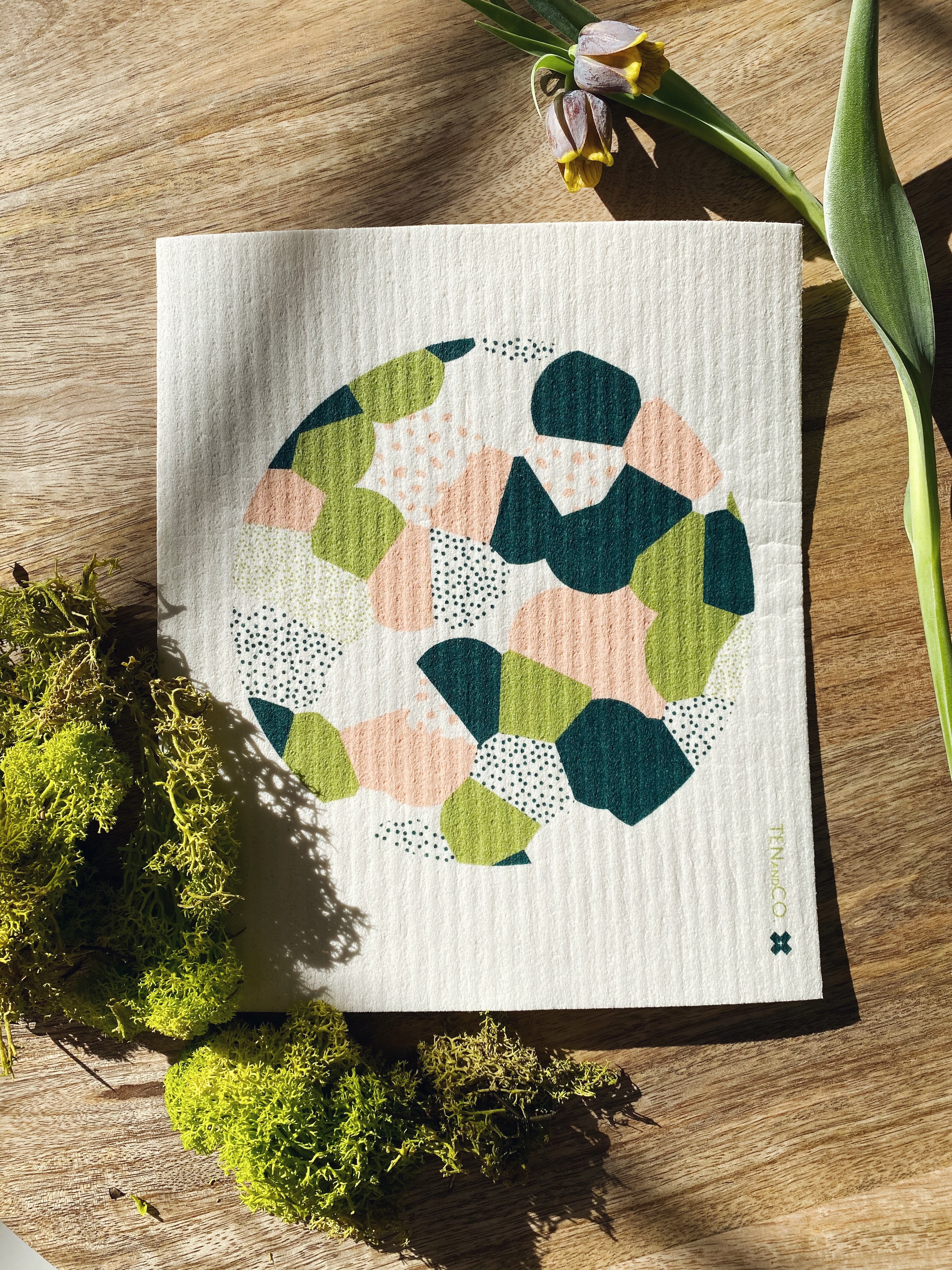 Product image of Full Circle Sponge cloth. The sponge cloth is laying on a wood surface. There is sunlight shining on it. It is surrounded by a couple ferns and plants.  